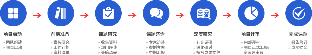 项目运作流程